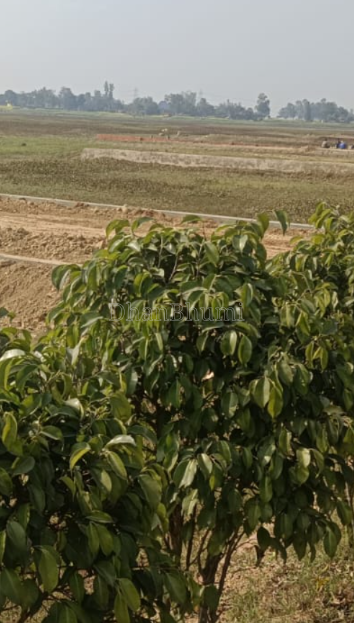 property_images/plot_in_gorakhpur_1782132831_6a39305fd2967.PNG