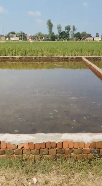 property_images/plot_in_gorakhpur_1793103045_6ae094c54e962.PNG