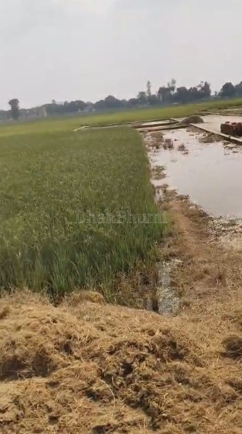 property_images/plot_in_gorakhpur_1793103221_6ae09575dcffd.PNG