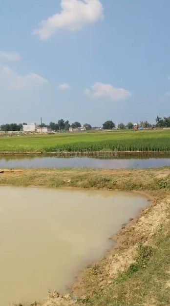 property_images/plot_in_gorakhpur_1793103449_6ae09659c0e71.PNG