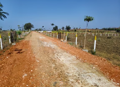 property_images/plot_in_greater_noida_1788525586_6a9abc12e89c6.PNG