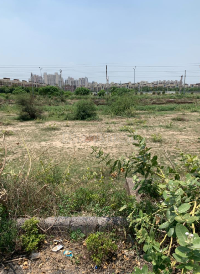 property_images/plot_in_greater_noida_1788947807_6aa12d5f196d7.PNG