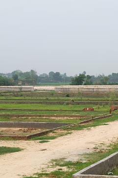 property_images/plot_in_greater_noida_1792055208_6ad097a88e078.PNG