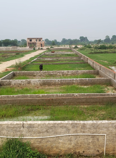 property_images/plot_in_greater_noida_1792055327_6ad0981f8eeb8.PNG