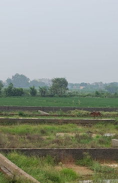 property_images/plot_in_greater_noida_1792055709_6ad0999d9be90.PNG