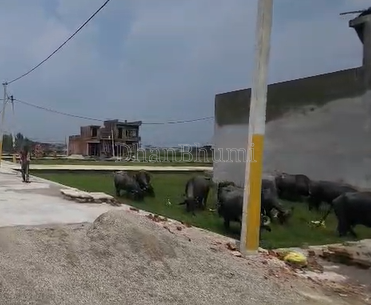property_images/plot_in_haridwar_1790059918_6ab2258ecdca9.png