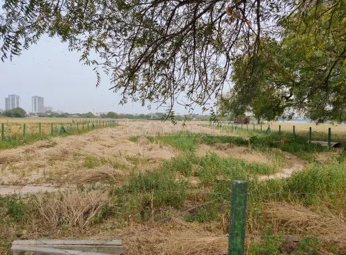 property_images/plot_in_hisar_1789042023_6aa29d67e380d.PNG