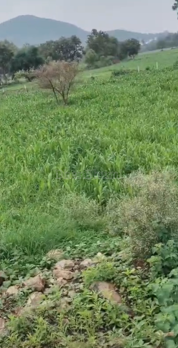 property_images/plot_in_indore_1786432450_6a7acbc261b83.png