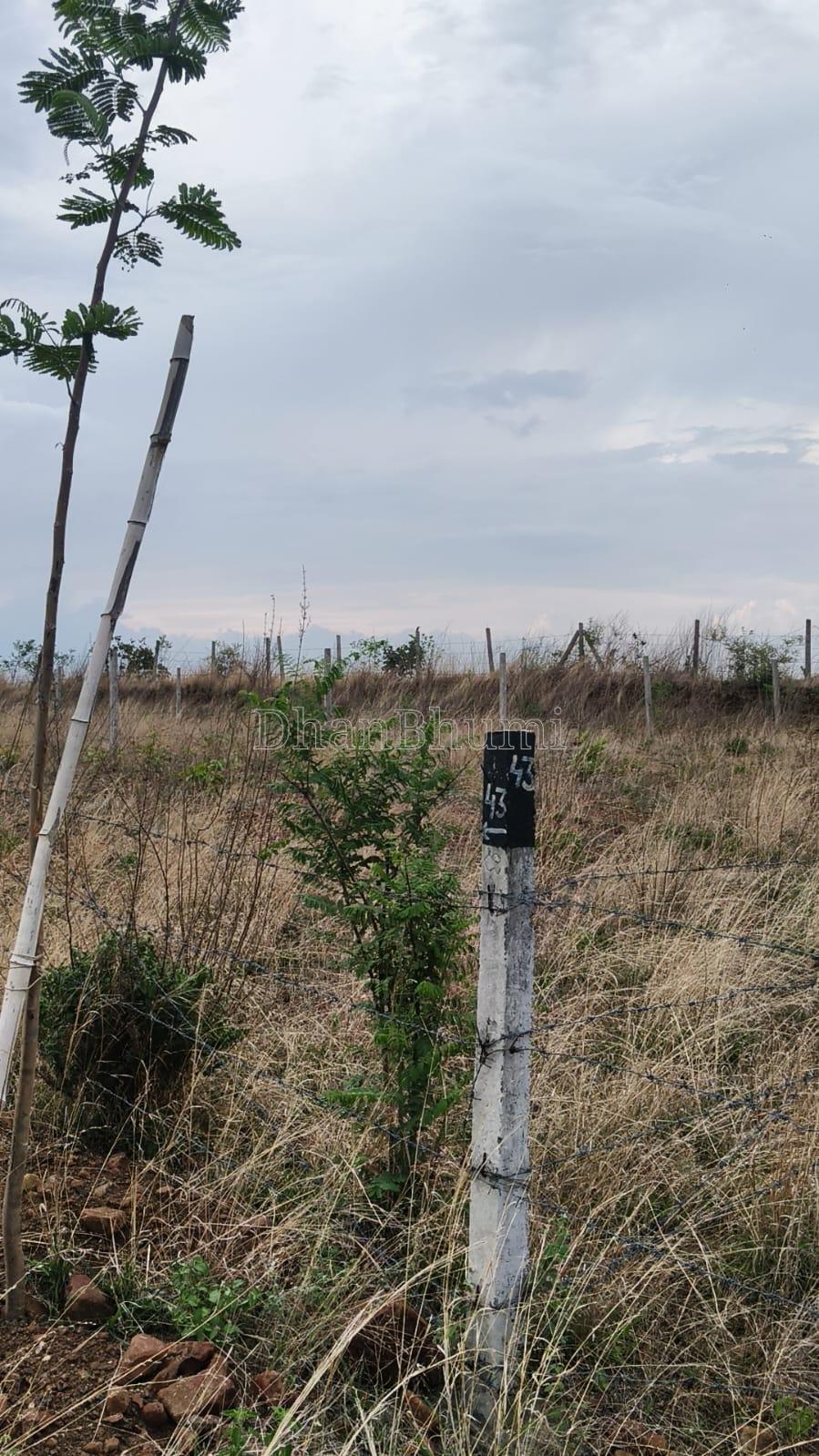 property_images/plot_in_jabalpur_1784186924_6a58882cde496.jpeg