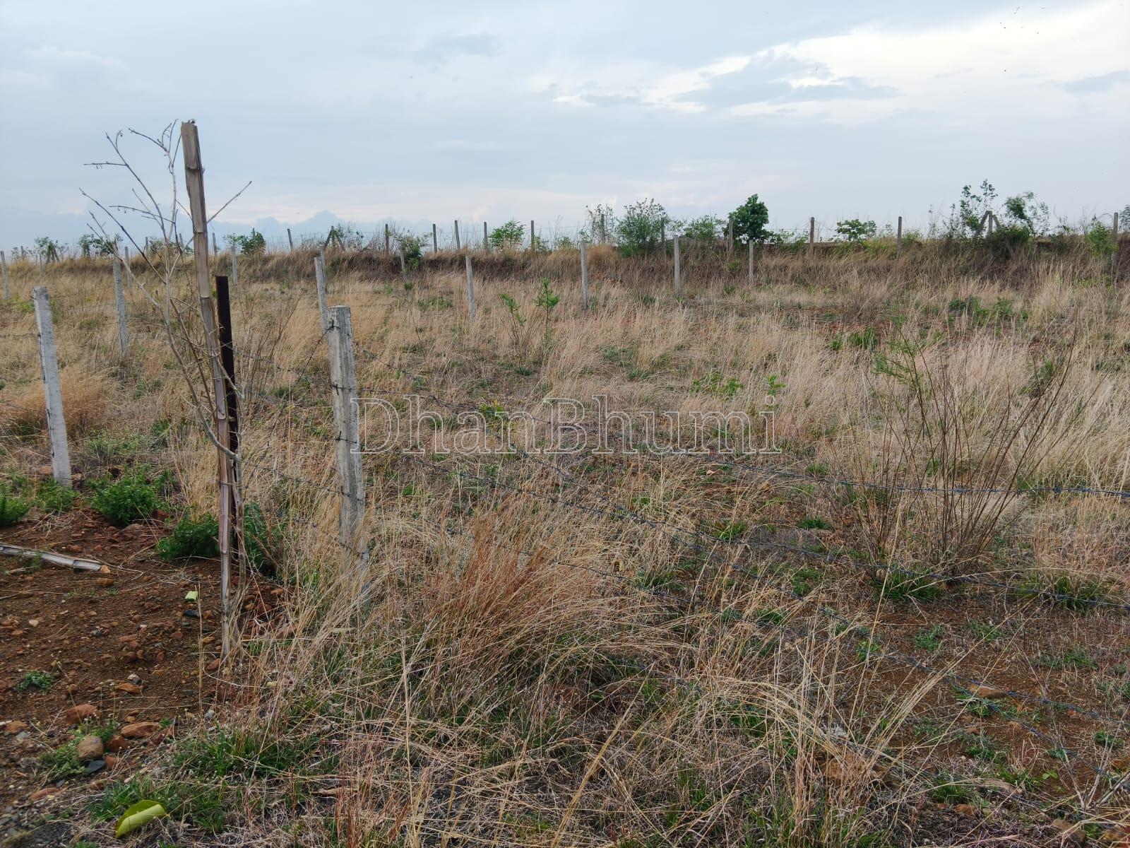 property_images/plot_in_jabalpur_1784186925_6a58882d378bd.jpeg