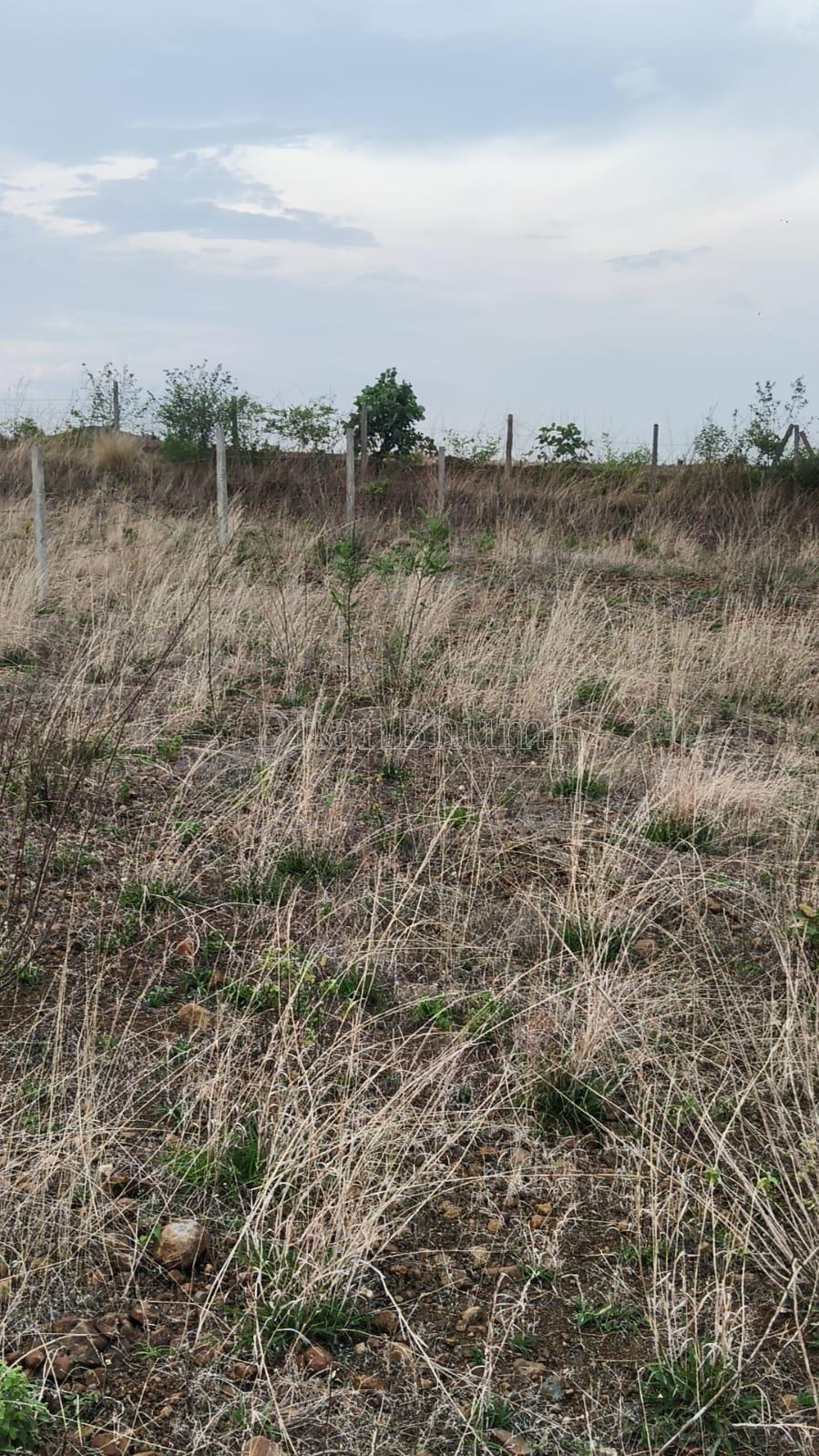 property_images/plot_in_jabalpur_1784186925_6a58882d4c641.jpeg