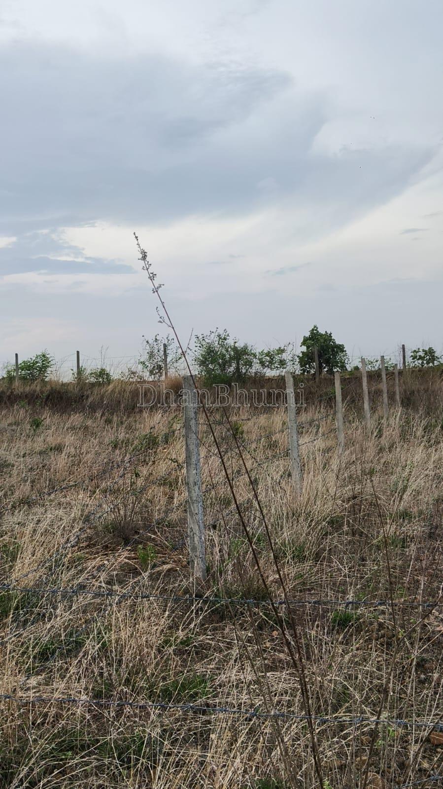 property_images/plot_in_jabalpur_1784186925_6a58882d5dba9.jpeg