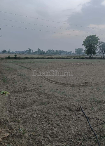 property_images/plot_in_jaipur_1785233382_6a687fe6a43ab.png