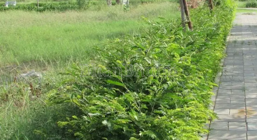 property_images/plot_in_jaipur_1785932803_6a732c0312dbd.png