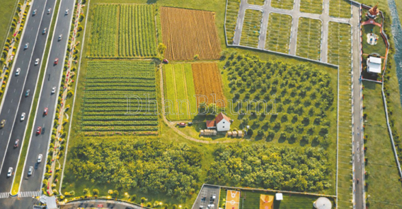 property_images/plot_in_jaipur_1786448925_6a7b0c1d0457b.png