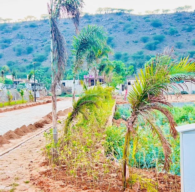 property_images/plot_in_jaipur_1788434062_6a99568eb1485.PNG