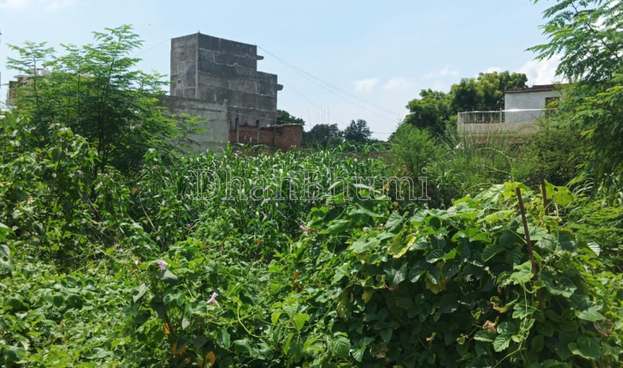 property_images/plot_in_jaipur_1789194358_6aa4f076332f5.png