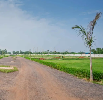 property_images/plot_in_jehanabad_1792672479_6ada02dfdbbf0.png