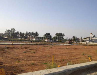 property_images/plot_in_jhajjar_1787052841_6a844329d1ec4.png