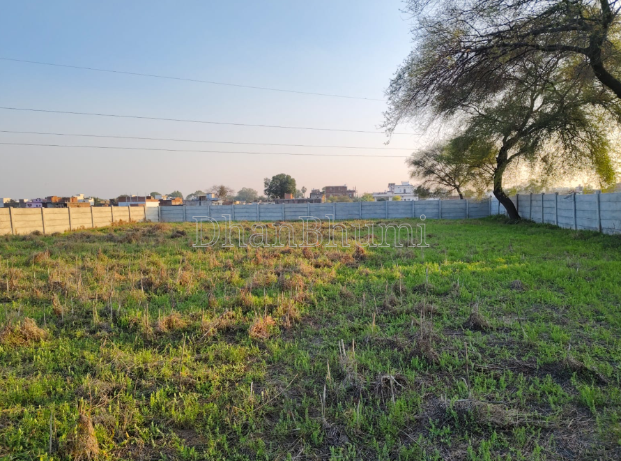 property_images/plot_in_jhansi_1788167061_6a9543951acc1.PNG