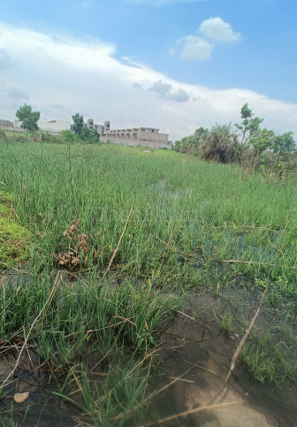 property_images/plot_in_jhansi_1790767552_6abcf1c027475.png