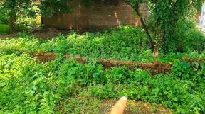 property_images/plot_in_jhansi_1791196638_6ac37dde95a92.PNG