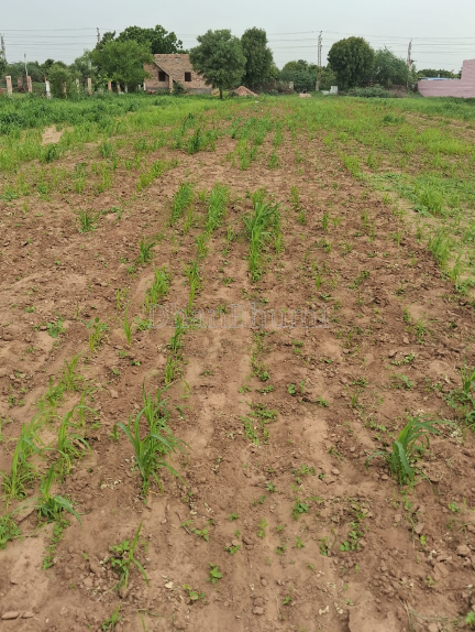 property_images/plot_in_jodhpur_1792048189_6ad07c3d6377d.png