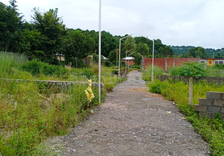 property_images/plot_in_kangra_1781679853_6a3246ed84a2f.PNG