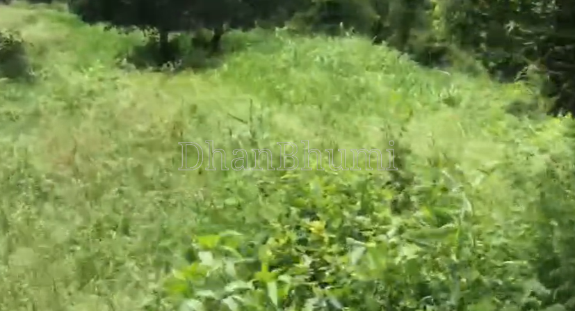 property_images/plot_in_kangra_1787745282_6a8ed402ed820.png