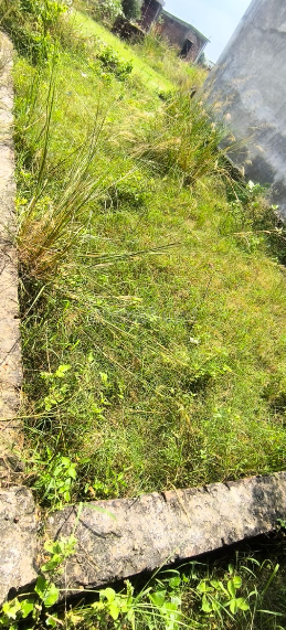 property_images/plot_in_kanpur_1791182501_6ac346a5261e0.png