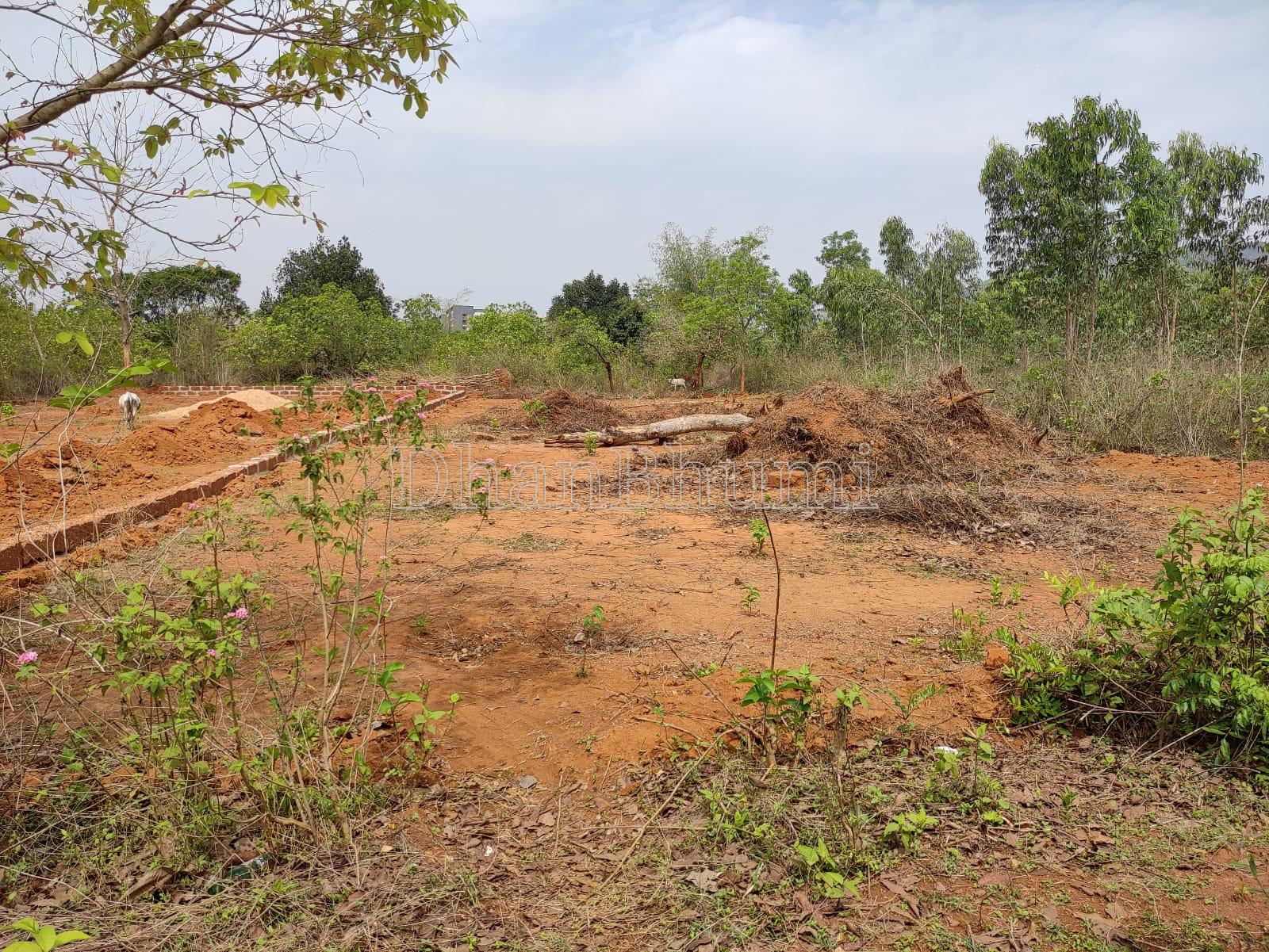 property_images/plot_in_khordha_1790475117_6ab87b6d84b29.jpg