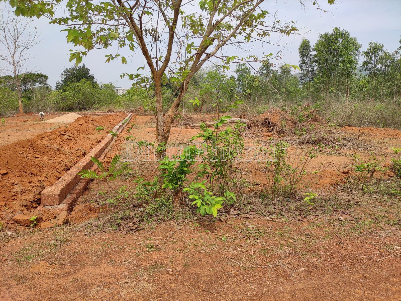 property_images/plot_in_khordha_1790475117_6ab87b6dab300.jpg