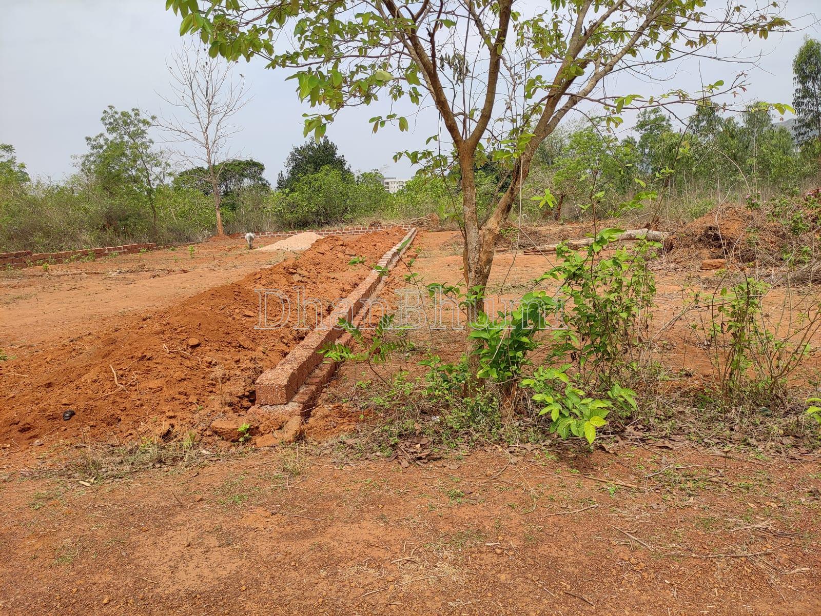 property_images/plot_in_khurda_1791700402_6acb2db2c2a02.jpg