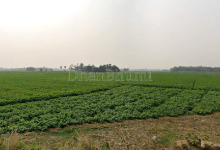 property_images/plot_in_kolkata_1791799933_6accb27df2bc6.png