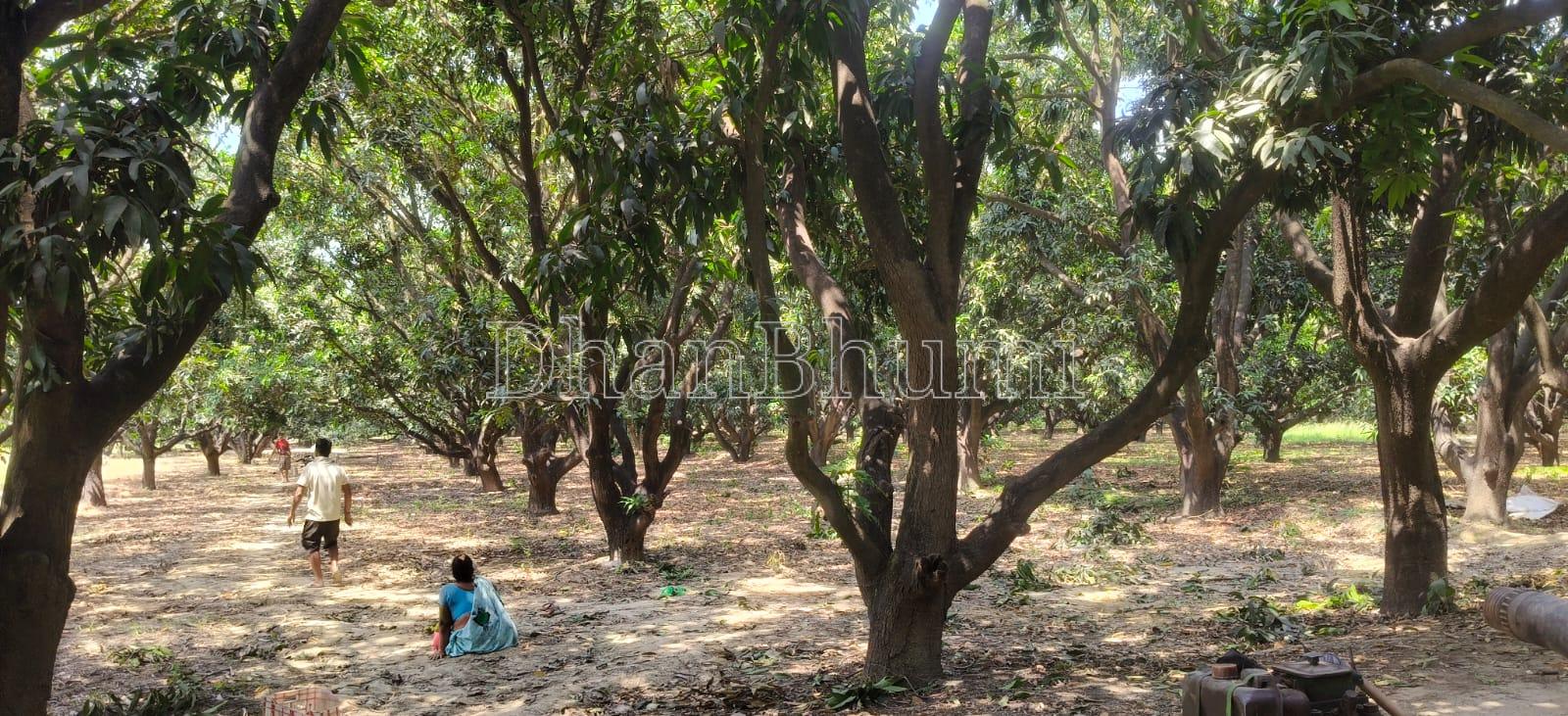 property_images/plot_in_lucknow_1782557142_6a3fa9d6f3558.jpeg