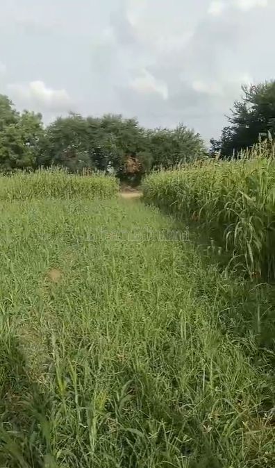 property_images/plot_in_lucknow_1784025119_6a56101fee594.png