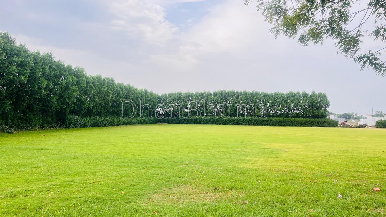 property_images/plot_in_lucknow_1785145116_6a67271c5641d.jpeg