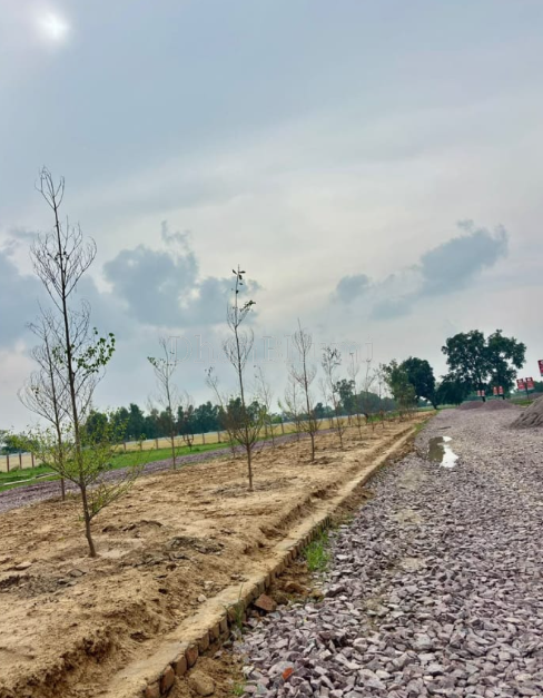 property_images/plot_in_lucknow_1786963913_6a82e7c98c3d8.PNG