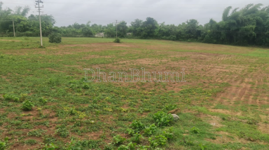 property_images/plot_in_lucknow_1788347357_6a9803dd19a59.png
