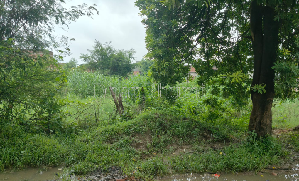 property_images/plot_in_lucknow_1789459195_6aa8fafb7754e.PNG