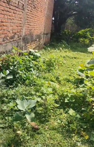 property_images/plot_in_lucknow_1790245235_6ab4f973777d3.png