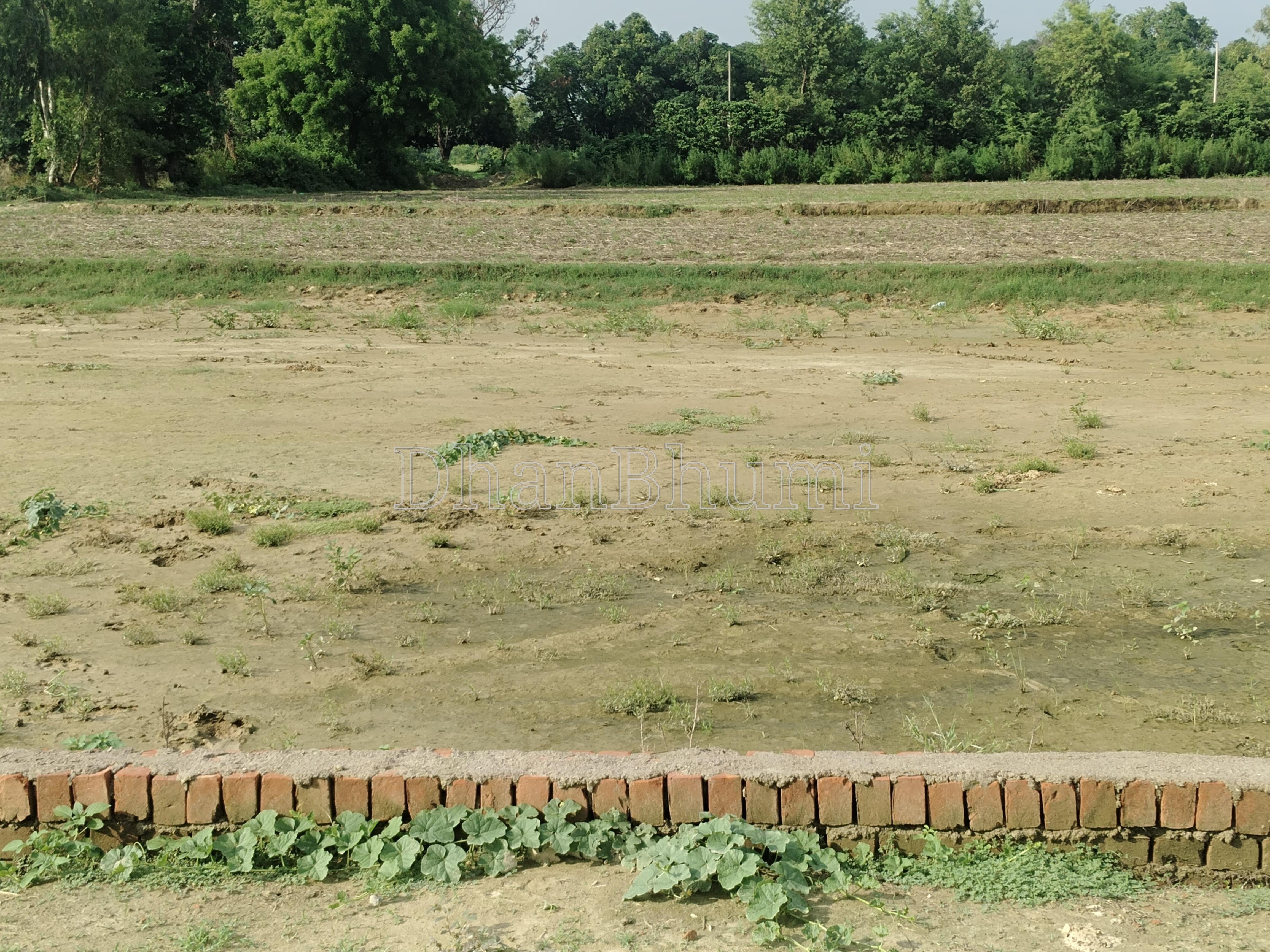 property_images/plot_in_lucknow_1790739133_6abc82bd1df3e.jpg