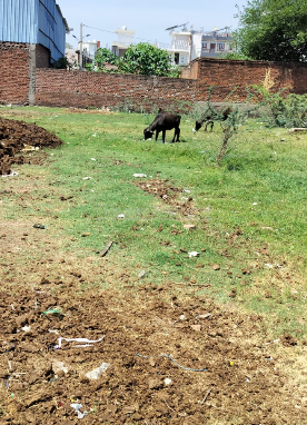 property_images/plot_in_lucknow_1790833256_6abdf2680e635.png