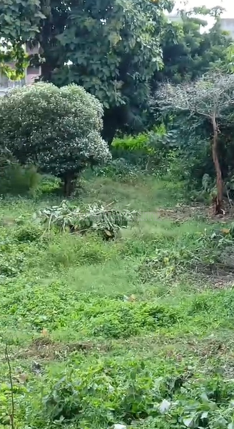 property_images/plot_in_lucknow_1793006268_6adf1abc4ee53.png