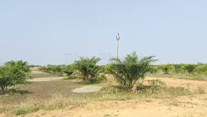 property_images/plot_in_mahabubnagar_1783685750_6a50e276c480c.png