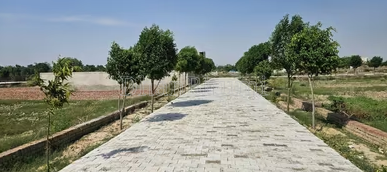 property_images/plot_in_mathura_1783419330_6a4cd1c2c561c.PNG