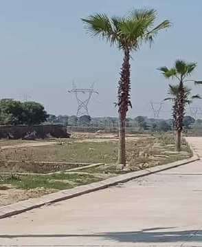 property_images/plot_in_mathura_1788778004_6a9e96149ebe1.png