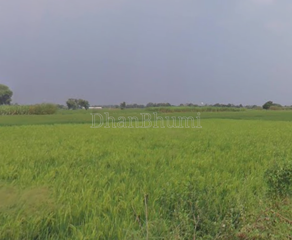 property_images/plot_in_mathura_1789637435_6aabb33bf3f23.png