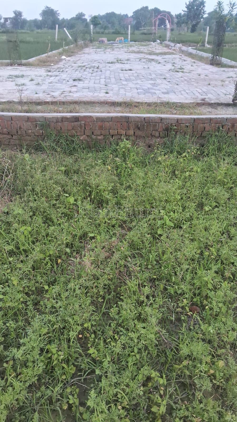 property_images/plot_in_mirzapur_1786615222_6a7d95b67be0c.jpeg