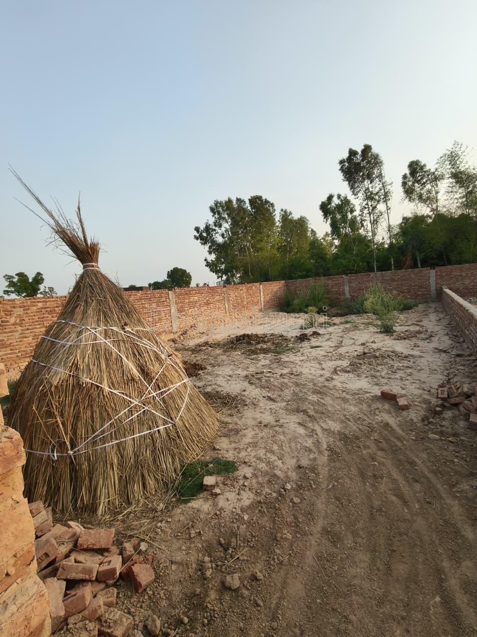 property_images/plot_in_mohali_1784632173_6a5f536d917b2.jpeg